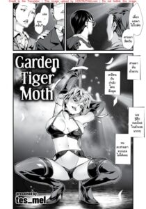 [tes mel] Garden Tiger Moth